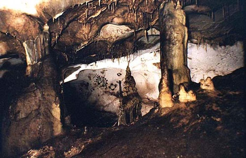 Pittogrammi: i cervi